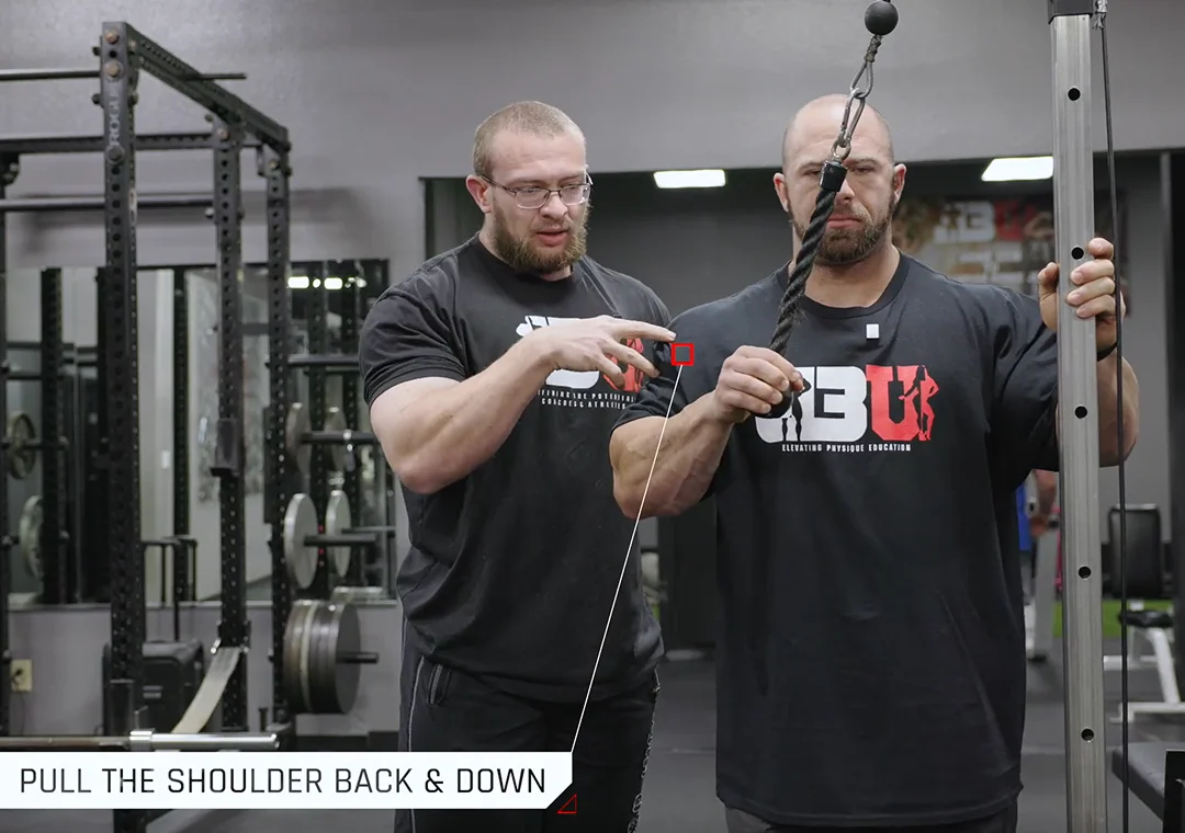 Triceps exercise analysis